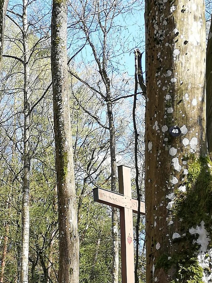 Ferienwohnungen Blum Kelberg Eksteriør bilde